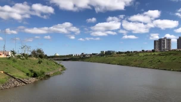 平静的一天 非常清澈 在河岸上 — 图库视频影像