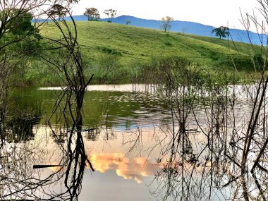 Bitkilerin doğayla uyum içinde yaşadığına küçük bir örnek.