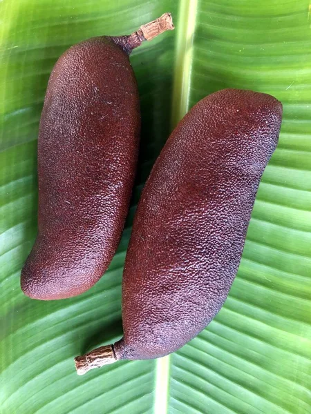 Frutos Del Árbol Jatob Hymenaea Courbaril Bajo Fondo Hoja Plátano — Foto de Stock