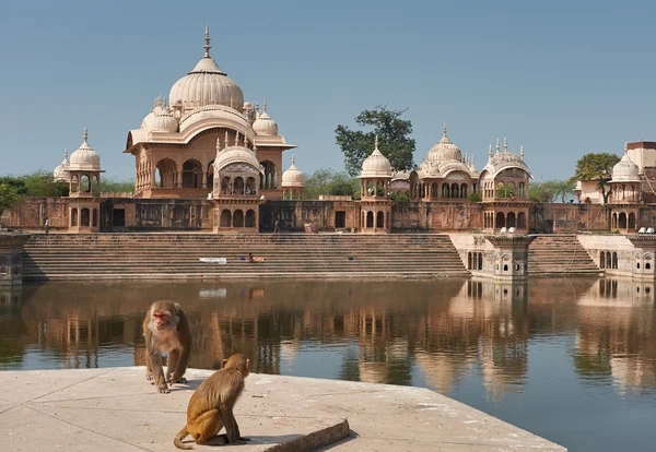 Kusum Sarovar em Mathura Uttar-Pradesh, Índia . — Fotografia de Stock