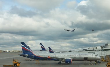 Aeroflot şirket havaalanında Sheremetyevo, Moskova, Rusya Federasyonu.