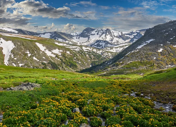 Güzel yaz manzara, Altay Dağları Rusya. — Stok fotoğraf