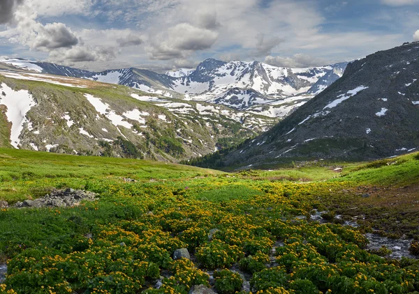 美しい夏の風景、ロシアのアルタイ山脈. — ストック写真