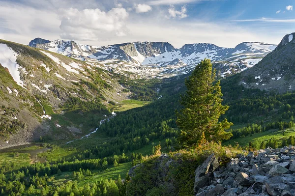 Schöne sommerlandschaft, altaigebirge russland. — Stockfoto