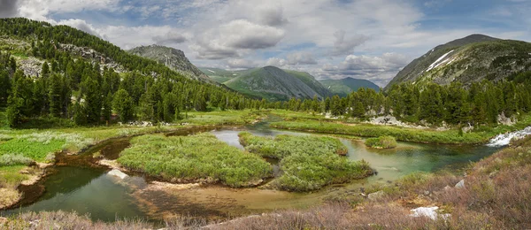Beautiful summer landscape, Altai mountains Russia. — Stock Photo, Image