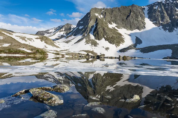 Beau paysage d'été, montagnes Altaï Russie . — Photo