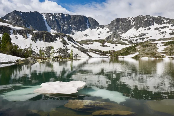 Beautiful summer landscape, Altai mountains Russia. — Stock Photo, Image