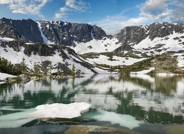 Beautiful summer landscape, Altai mountains Russia. Royalty Free Stock Images