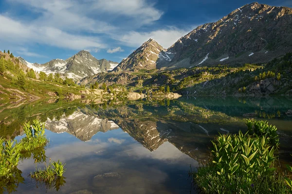 Mountain lake — Stock Photo, Image