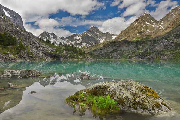 Mountain lake — Stock Photo, Image