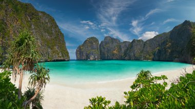 Phi phi Island, krabi il, Tayland.