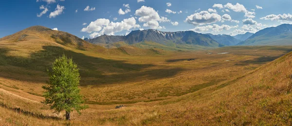 Montanhas Altai — Fotografia de Stock