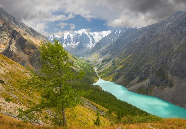 Altai bergen — Stockfoto