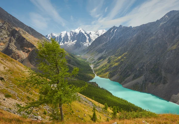 Montagnes de l'Altaï — Photo