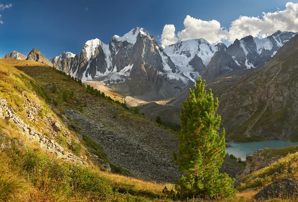 Altai bergen Stockfoto