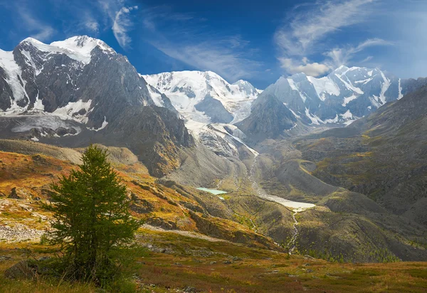 Montagne Altai — Foto Stock