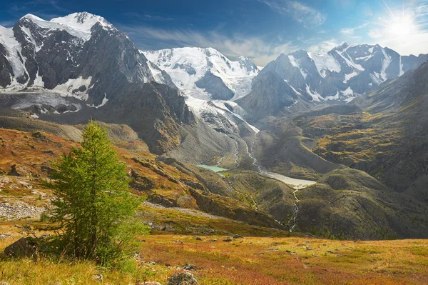 Altay Dağları — Stok fotoğraf