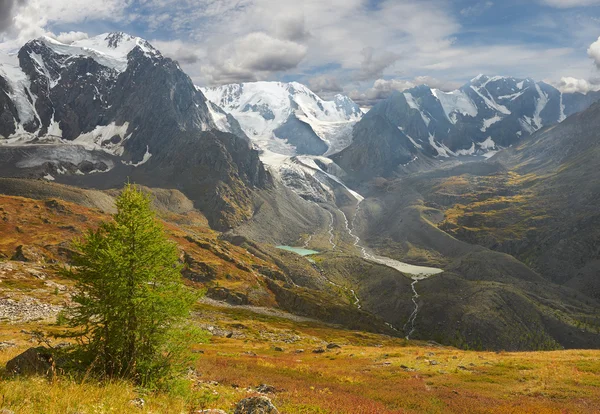 Montagne Altai . — Foto Stock