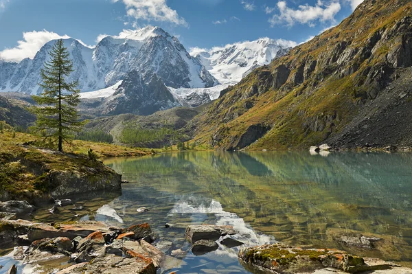 阿尔泰山 — 图库照片