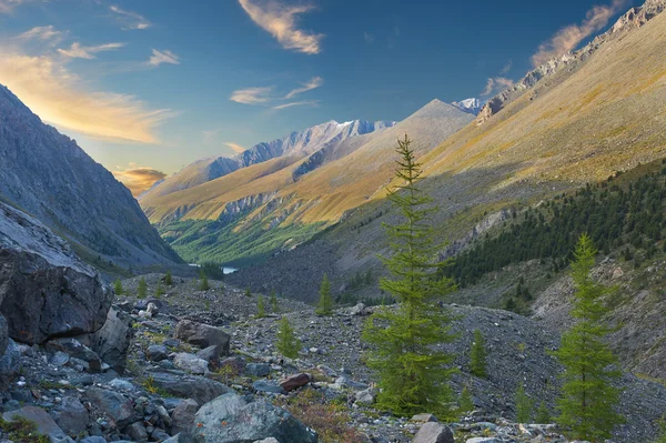 Altai bergen — Stockfoto