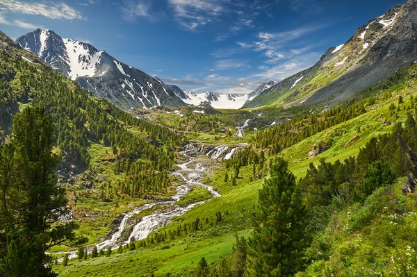 Altai bergen — Stockfoto