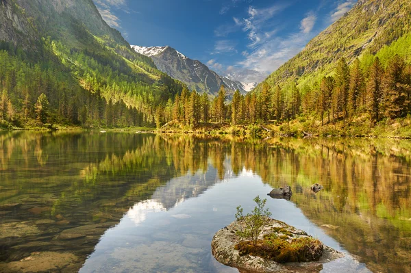 Altai bergen — Stockfoto