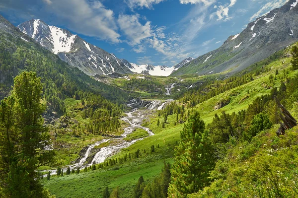 Altai mountains Stock Image