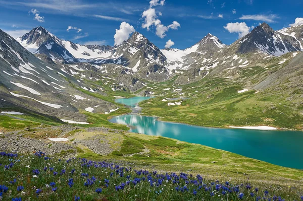 Алтайські гори Ліцензійні Стокові Фото
