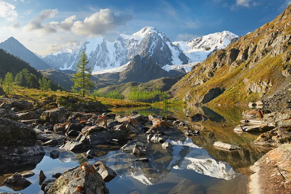 Altai bergen — Stockfoto