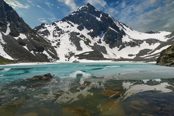 Mooie zomerse landschap, Altaj Rusland — Stockfoto