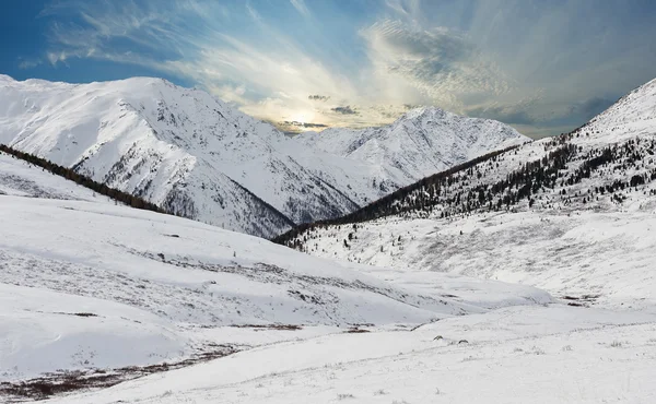 Bonita paisagem de inverno, montanhas Altai Rússia . — Fotografia de Stock