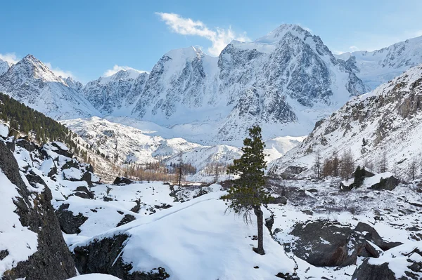 Bonita paisagem de inverno, montanhas Altai Rússia . — Fotografia de Stock