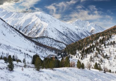Güzel kış manzara, Altay Dağları Rusya.