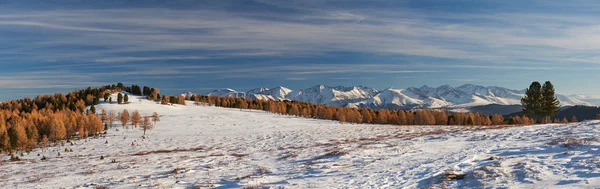 Hermoso paisaje de invierno, montañas de Altai Rusia . — Foto de Stock