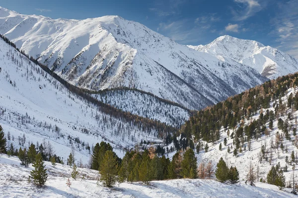 美しい冬の風景、ロシアのアルタイ山脈. — ストック写真