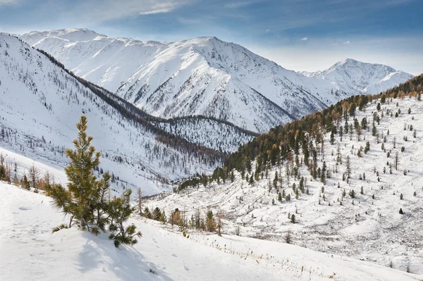 아름 다운 겨울 풍경, 알타이 산맥 러시아. — 스톡 사진