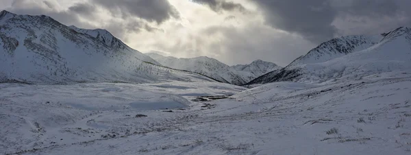 Güzel kış manzara, Altay Dağları Rusya. Stok Resim
