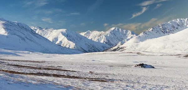 Güzel kış manzara, Altay Dağları Rusya. - Stok İmaj