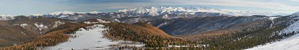 Peisaj frumos de iarnă, Munții Altai Rusia . — Fotografie, imagine de stoc