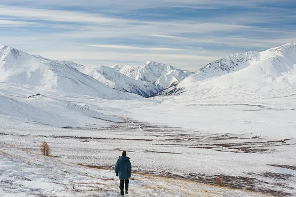 美しい冬の風景、ロシアのアルタイ山脈. — ストック写真