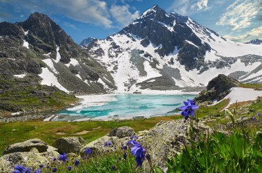Güzel yaz manzara, Altay Dağları Rusya.