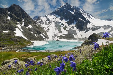 Güzel yaz manzara, Altay Dağları Rusya.