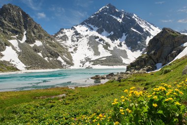 Güzel yaz manzara, Altay Dağları Rusya.