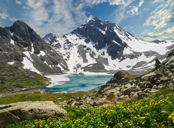 Güzel yaz manzara, Altay Dağları Rusya.