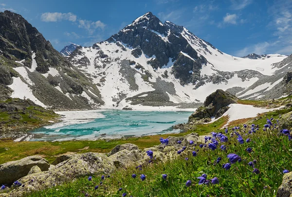 Güzel yaz manzara, Altay Dağları Rusya.