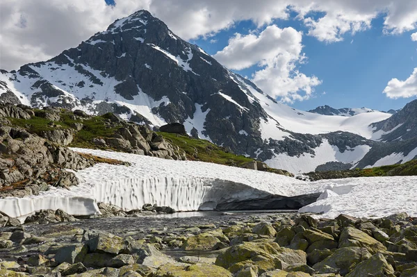 Beau paysage d'été, montagnes Altaï Russie . — Photo