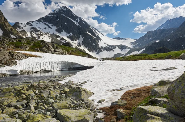 Hermoso paisaje de verano, montañas de Altai Rusia . — Foto de Stock