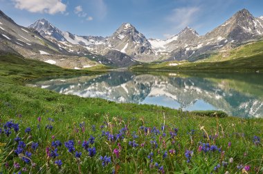 Güzel yaz manzara, Altay Dağları Rusya.