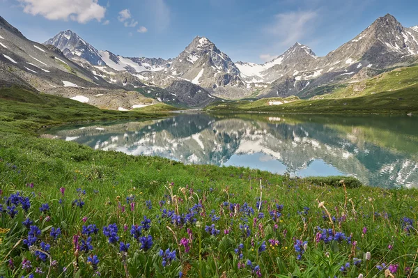 Güzel yaz manzara, Altay Dağları Rusya.