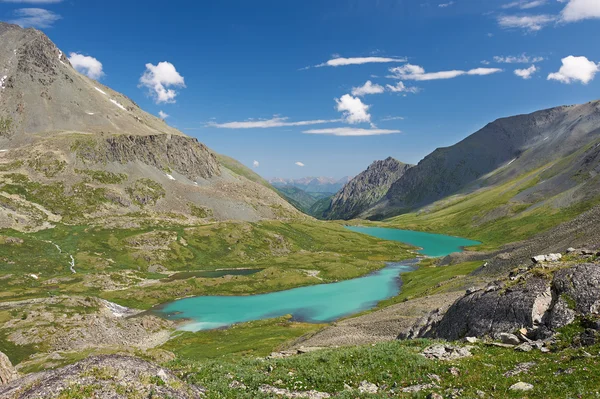 Όμορφες καλοκαιρινές τοπίου, Ρωσία Altai βουνά. — Φωτογραφία Αρχείου